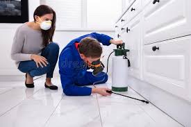 Best Pest Exclusion Services  in Hemphill, TX